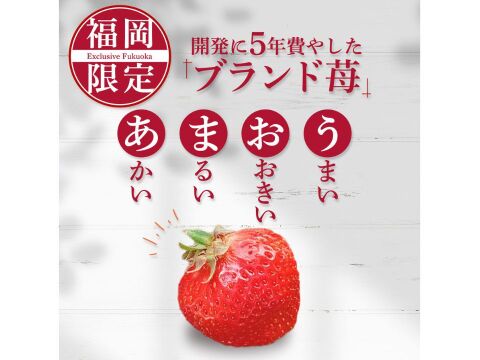 【冷凍いちご】あまおういちご たっぷり 1㎏