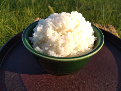 【夜市限定】ふっくら美味しい！【特別栽培米】”クロレラ米米”3kg