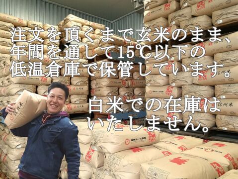新米【白米20kg】 信州産 農薬不使用米 こしひかり 《受注精米》（5kg×4袋） 令和4年産