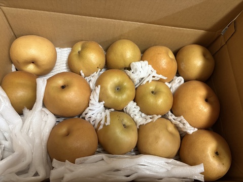 梨　訳あり　10キロバラ詰め