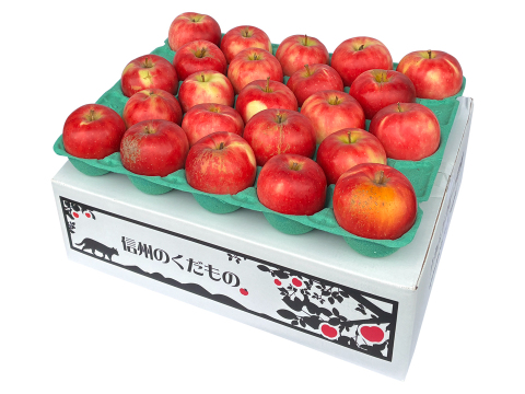 残り5ケース🍎シナノピッコロ 5キロ箱 訳あり品 人気上昇中！ 商品ID09217 長野県 信州 安曇野 リンゴ 幻 幻のリンゴ 予約 希少 旬