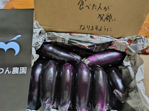 常温便【煮て焼いて、揚げて良し！】今が旬！中長ナス　2kg