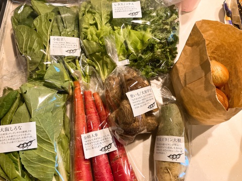 野菜セットＳサイズ（７品）【農薬・化学肥料・動物性堆肥｜不使用】