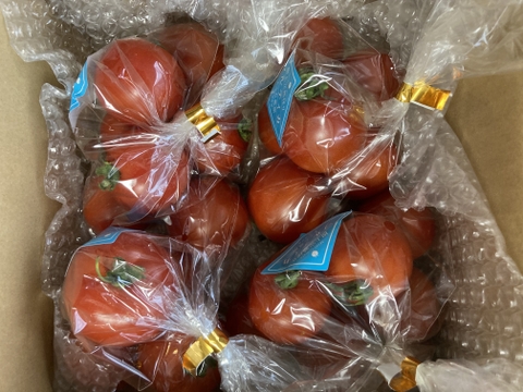 【新春SALE】フルーツトマト　フルティカ290g×4袋