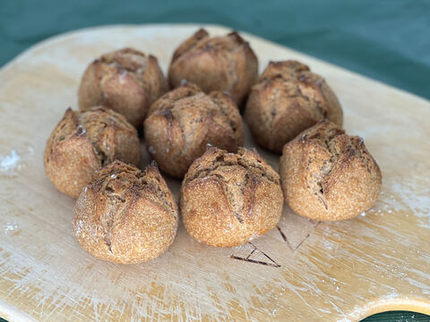 全部有機！パンセット⑦+Singleパン③+④+⑥+⑦+⑪+⑳+㉗+㉙+Sweets③+⑤：麦の栽培から一貫生産　自然栽培有機小麦のみ使用した有機パン＆有機Sweetsセット