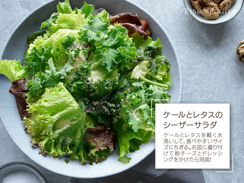 新鮮！採れたて！農薬・化学肥料不使用！ケールとレタスの定期便 6個セット