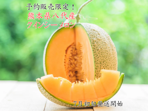 熊本県八代産　クインシーメロン　５玉　３Ｌサイズ