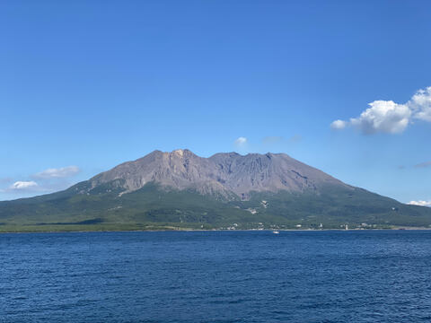 旬！贈答用！知る人ぞ知る幻の極利（ごくり）かぼちゃ