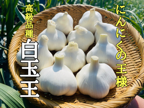 【年末感謝祭㊗️100円引】濃厚✨あまい✨青森熟成黒にんにく600g（月1000箱売れました‼️）
