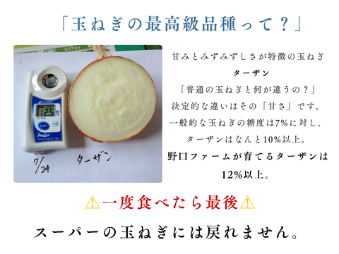 【玉ねぎの最高峰】淡路島 完熟玉ねぎ10kg 約30～40個入