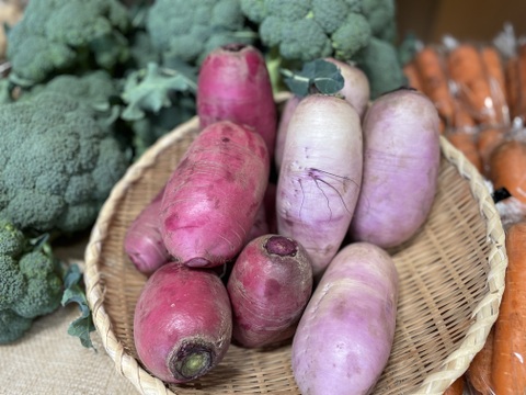【榛名山の麓から】冬のシャキうま旬野菜セット・ちょうどいいサイズ！＜8品目＞
