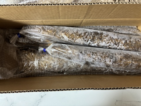 青森県十和田産】春掘り 土付き長芋5kg ネバリスター：青森県産