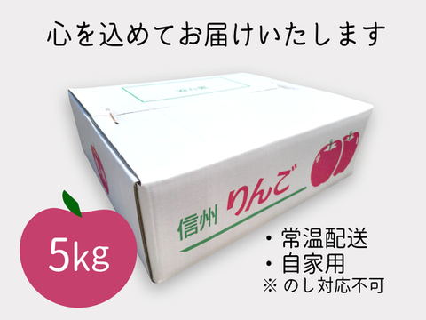 芳醇な甘み “ぐんま名月” 5kg(14～20玉) 自家用(訳あり品) 信州安曇野産りんご 人気商品