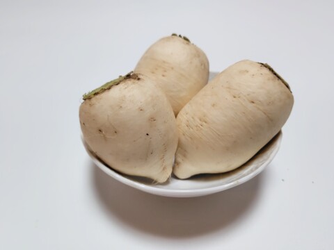 おろしそばに最適! 福井県産 辛味大根(品種名:辛味そば大根) 400g