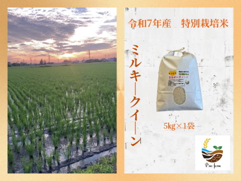 R7年産特別栽培米　ミルキークイーン　5㎏