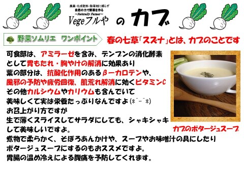 農薬未使用！旬の採れたて新鮮野菜おまかせ小セット（５～７品目）