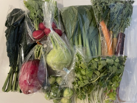 ＼シャキうま！／南房総の旬野菜セット！セレクトおまかせ【8品目】