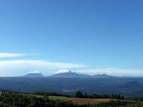 農薬化学肥料不使用　もち麦うどん　200g×12