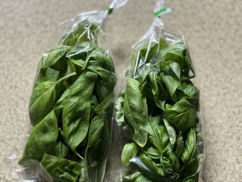 さかなが作った究極のスペシャリティ野菜　農薬・化学肥料不使用　フレッシュスイートバジル100g