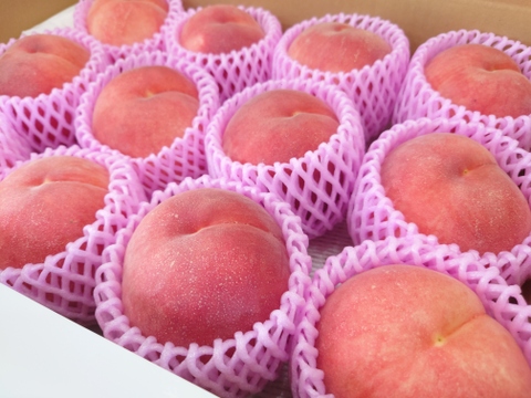 特大サイズの桃！「なつっこ」 約5kg【夏ギフト】【クール便】