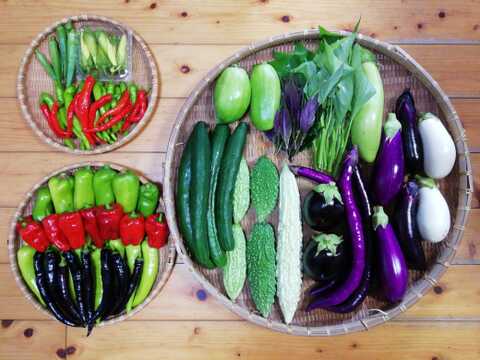 農薬化学肥料不使用】おまかせ野菜セット【8種類以上の野菜】【金曜日