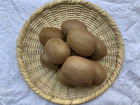 まじりっけなし！小田原産キウイフルーツ2kg