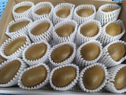 【２年連続受賞】下仁田町産キウイフルーツ（Mサイズ/20個入）