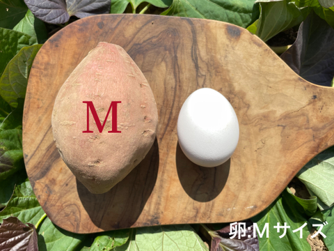 【絶品】aimo農園｜種子島産 安納芋 M&L 混合2kg(箱別)