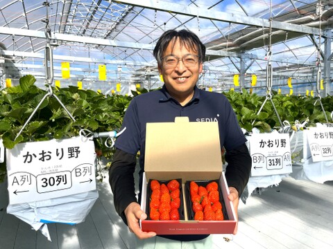 《爽やかフル～ティ～ないちご♪》　かおり野280g×2パック　佐賀県基山町産