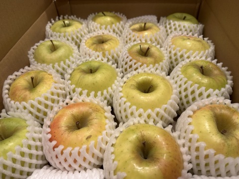 販売中！】青森県産りんご「ぐんま名月」家庭用 キズ有 約5kg 【光