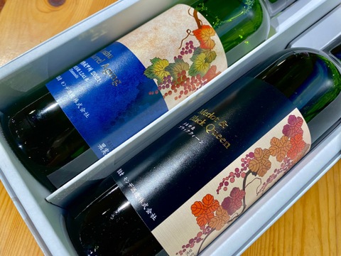 【ギフト】直売店で1番人気の山梨県産白赤ワインセット！
