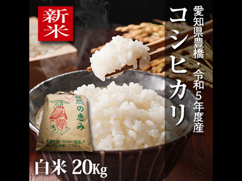 米/穀物千葉県産コシヒカリ白米20㎏ - 米/穀物