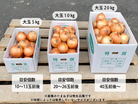 【大玉サイズ/20kg】淡路島産新たまねぎ 兵庫県認証食品