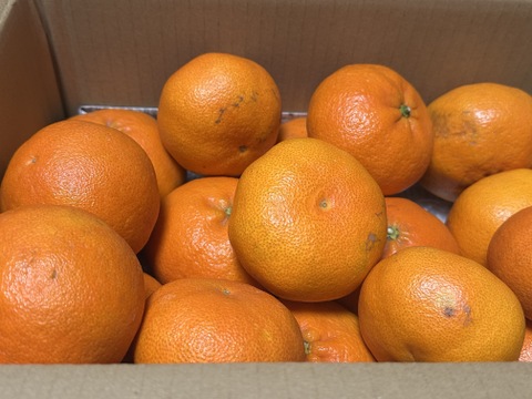 ラスト　甘平　 家庭用Ｂ品　4キロ