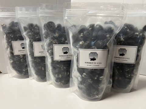 【年末年始の栄養補給に】宍道湖産ヤマトシジミ・冷凍5kg（お任せサイズ）