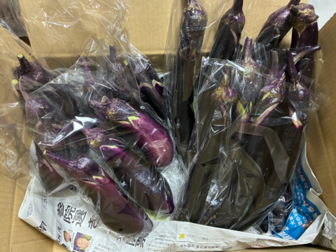 【土曜出荷：出荷先制限】ナス食べ比べセット『えんぴつ茄子&新長崎長茄子』 (合計約18本程度)