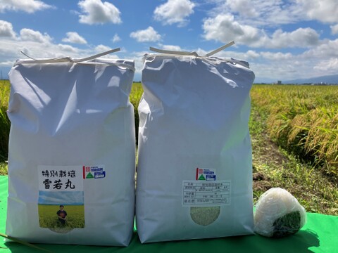 令和7年産米　新商品！大きい粒でとっても美味しい　合鴨農法雪若丸　玄米30キロ（10キロ3袋小分）