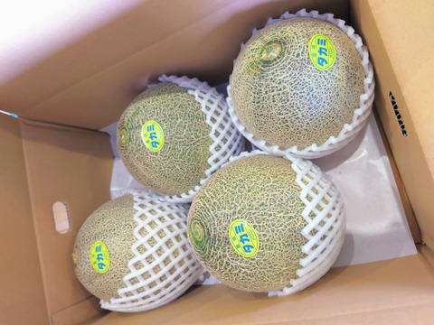 【イチオシ！】果汁したたる『タカミメロン』5kg(3~5玉)