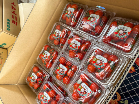 食べれるジュエリー🍅💎「ちゅるちゃんトマト」｜200g×12p【冬ギフト】