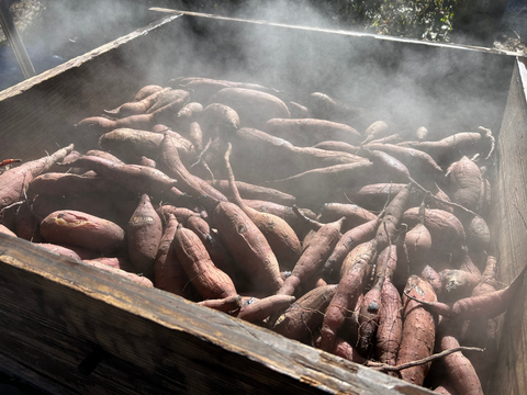 【希少な丸干し】しっとり柔らか！『極上ほし芋』