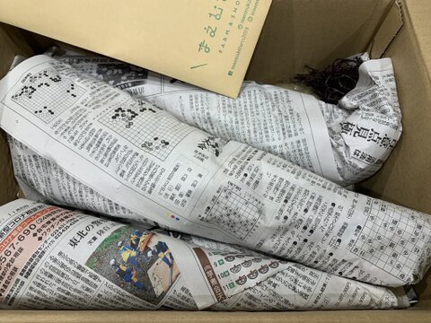 【とても希少な自然栽培＆固定種野菜のみのセット】自然と一緒に育てた旬の野菜セット6~8種類