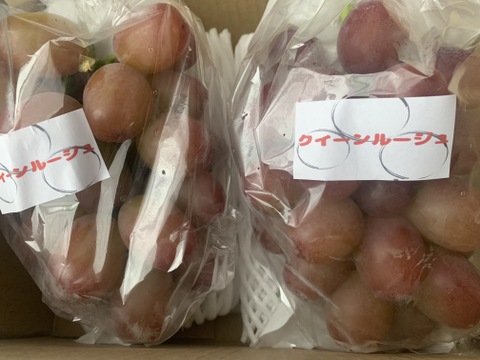 【贈答・家庭用兼用】【クイーンルージュ】約2～3房　８００ｇ以上【簡易包装】