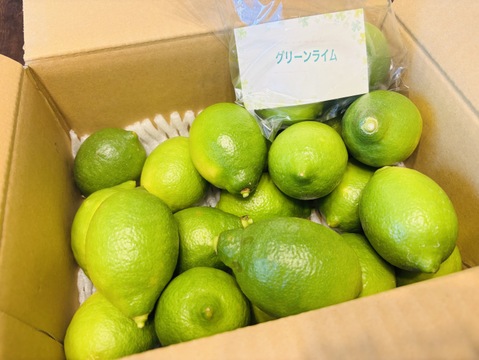国産グリーンレモン 2キロ