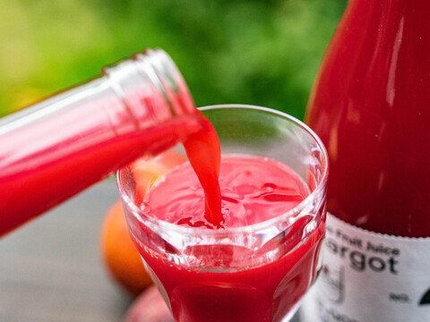 【無添加・果汁100%のストレートジュース】シトラスフルーツジュース マルゴット3種飲み比べセット【冬ギフト】