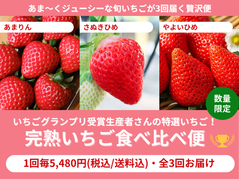 【売り切れ】　【限定100セット】いちごグランプリ受賞いちご食べ比べ便【Aコース】（食べチョク公式）