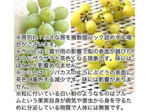 【家庭用】クイーンルージュ 約800g 長野名産・皮ごと食べられる種無しぶどう。お得な訳あり品、家庭用に 産地直送で10月上旬頃から#NGR0B008