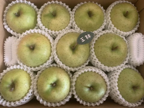 ★★大幅値下げ★★🍏芳醇な香り【王林】🍏１０～１２玉 約３キロ  （家庭用）商品ID118229 青森 りんご 青