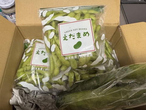 夏ギフト】【朝どれ】手が止まらない！濃厚でコクのある枝豆【枝