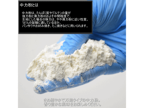 【栽培期間中農薬不散布】中力粉 400g 青森県産単一品100％使用 日本の小麦 「ネバリゴシ」 メール便