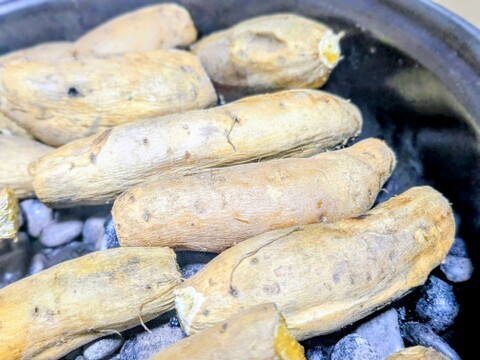 ★希少価値★【宮崎県産🍠さつまいも🍠】『霧島むつき』ミニサイズ3kg身体に優しく、ひと口サイズ美味しいさつま芋🍠